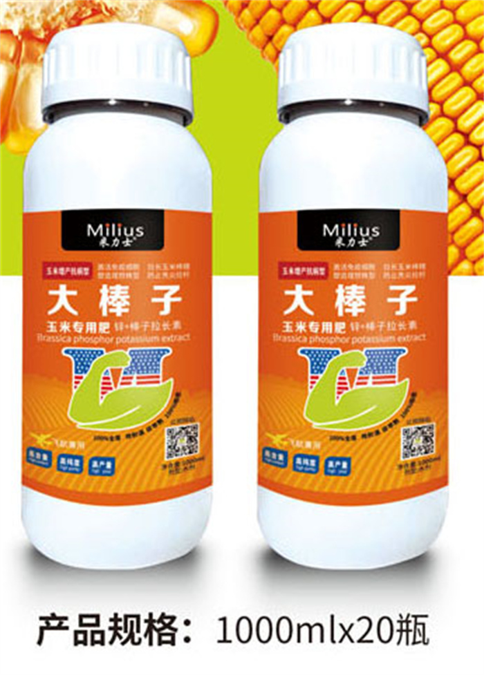 米力士大棒子(图1)